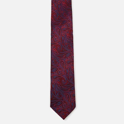 Men Maroon & Blue Printed Broad Tie